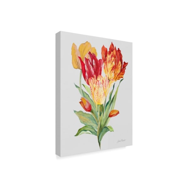 Jean Plout 'Botanicals 12' Canvas Art,24x32